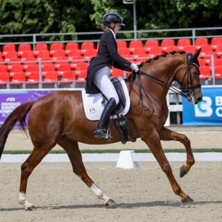 Die österreichische Equipe räumt beim CDI Olomouc ordentlich ab! © EQWO.net | Petra Kerschbaum