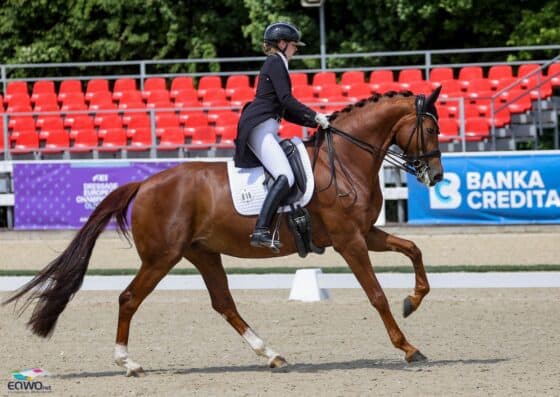 Die österreichische Equipe räumt beim CDI Olomouc ordentlich ab! © EQWO.net | Petra Kerschbaum