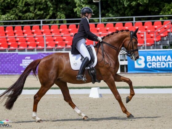 Die österreichische Equipe räumt beim CDI Olomouc ordentlich ab! © EQWO.net | Petra Kerschbaum