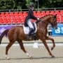 Die österreichische Equipe räumt beim CDI Olomouc ordentlich ab! © EQWO.net | Petra Kerschbaum