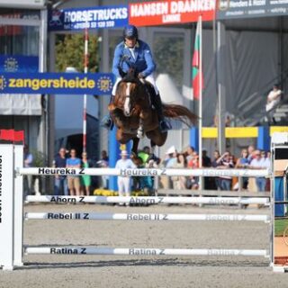 Christian Ahlmanns Comilfo Plus Z ist ein perfektes Beispiel für eine limitierte Sportkarriere, dafür viel Einfluss als Deckhengst. © hippomundo.com