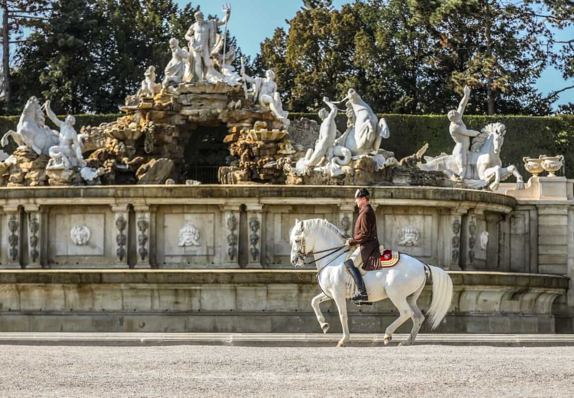 Lipizzaner vor Schloss Schönbrunn - ein einmaliger Drehtag der Longines Global Champions Tour Vienna und der Spanischen Hofreitschule! © EQWO.net | Petra Kerschbaum