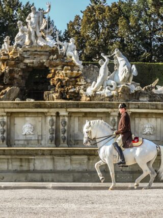Lipizzaner vor Schloss Schönbrunn - ein einmaliger Drehtag der Longines Global Champions Tour Vienna und der Spanischen Hofreitschule! © EQWO.net | Petra Kerschbaum
