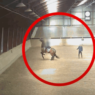 Der dänische Reitverein Dalumgaard beendete nach einem Skandal-Video die Zusammenarbeit mit Olympiareiter Jon D. Pedersen. © TV2 Fyn