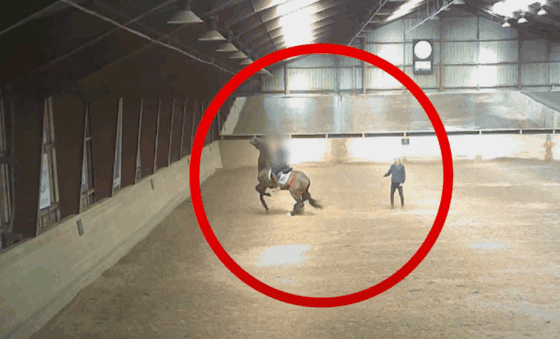 Der dänische Reitverein Dalumgaard beendete nach einem Skandal-Video die Zusammenarbeit mit Olympiareiter Jon D. Pedersen. © TV2 Fyn