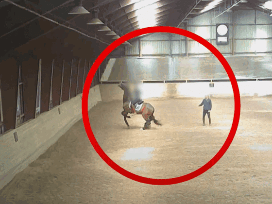 Der dänische Reitverein Dalumgaard beendete nach einem Skandal-Video die Zusammenarbeit mit Olympiareiter Jon D. Pedersen. © TV2 Fyn