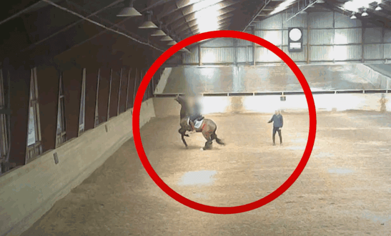 Der dänische Reitverein Dalumgaard beendete nach einem Skandal-Video die Zusammenarbeit mit Olympiareiter Jon D. Pedersen. © TV2 Fyn