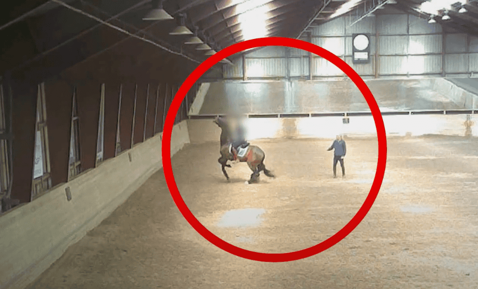 Der dänische Reitverein Dalumgaard beendete nach einem Skandal-Video die Zusammenarbeit mit Olympiareiter Jon D. Pedersen. © TV2 Fyn