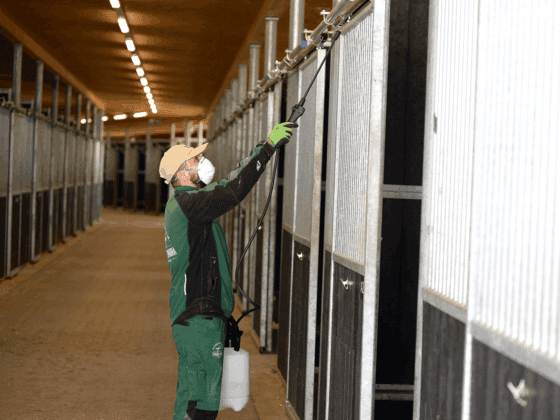 Ein Monat lang war das Pferdezentrum Stadl-Paura aufgrund des Influenza-Virus in Quarantäne. © Pferdezentrum Stadl-Paura