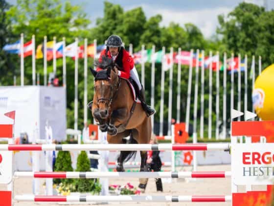 Felix Koller (OÖ) und Cossinelle setzen in Sopot ein kräftiges Ausrufezeichen Richtung Aachen! © CSIO Sopot