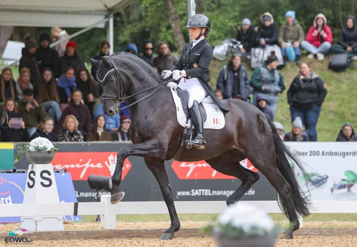 Dante's Pearl OLD fehlt beim CDIO4* in Hagen a.T.W.! © EQWO.net | Petra Kerschbaum