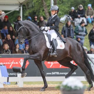 Dante's Pearl OLD fehlt beim CDIO4* in Hagen a.T.W.! © EQWO.net | Petra Kerschbaum