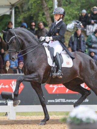 Dante's Pearl OLD fehlt beim CDIO4* in Hagen a.T.W.! © EQWO.net | Petra Kerschbaum