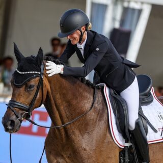 AWÖ-Stute Evita wird die österreichische Warmblut-Zucht zum zweiten Mal in Folge repräsentieren! © EQWO.net | Petra Kerschbaum