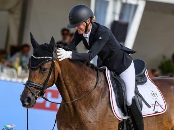 AWÖ-Stute Evita wird die österreichische Warmblut-Zucht zum zweiten Mal in Folge repräsentieren! © EQWO.net | Petra Kerschbaum