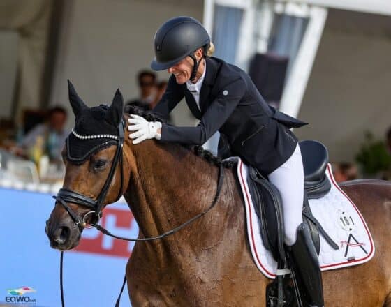 AWÖ-Stute Evita wird die österreichische Warmblut-Zucht zum zweiten Mal in Folge repräsentieren! © EQWO.net | Petra Kerschbaum