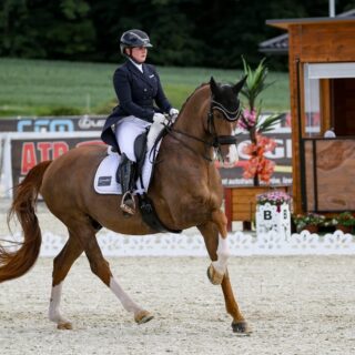Diana Porsche (S) ging beim CDI Gosciszow mit ihrem Imhotep in der Weltcup-Tour an den Start. © EQWO.net | Petra Kerschbaum