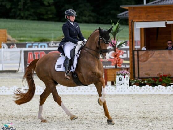 Diana Porsche (S) ging beim CDI Gosciszow mit ihrem Imhotep in der Weltcup-Tour an den Start. © EQWO.net | Petra Kerschbaum