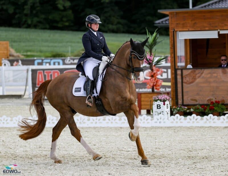Diana Porsche (S) ging beim CDI Gosciszow mit ihrem Imhotep in der Weltcup-Tour an den Start. © EQWO.net | Petra Kerschbaum
