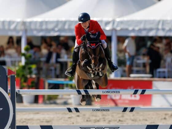 Max Kühner pilotierte Kurt D Z im Großen Preis von Budapest auf Platz zwei! © OEPS | Tomas Holcbecher