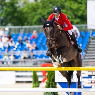 Dominik Juffinger (T) Neugschwent's Diamant © CSIO Sopot