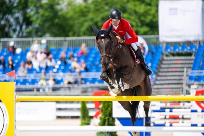 Dominik Juffinger (T) Neugschwent's Diamant © CSIO Sopot