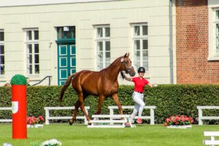 Die österreichischen Jungzüchter:innen belegten bei der Weltmeisterschaft in Celle Platz 12! © FB/ Marlene Reiter
