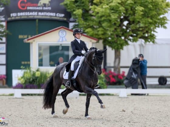 Felicita Simoncic (W) und Four Legends KS waren beim CDIO4* Nationenpreis in Hagen a.T.W. Österreichs stärkstes Team! © EQWO.net