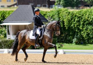 Stefan Lehfellner (OÖ) ist in Achleiten mit L'Espoir am Start. © EQWO.net | Petra Kerschbaum