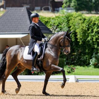 Stefan Lehfellner (OÖ) ist in Achleiten mit L'Espoir am Start. © EQWO.net | Petra Kerschbaum