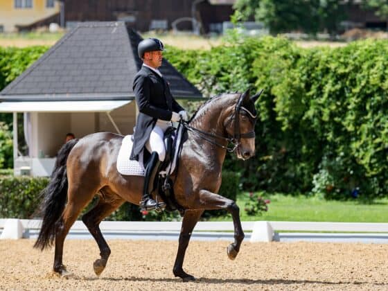 Stefan Lehfellner (OÖ) ist in Achleiten mit L'Espoir am Start. © EQWO.net | Petra Kerschbaum