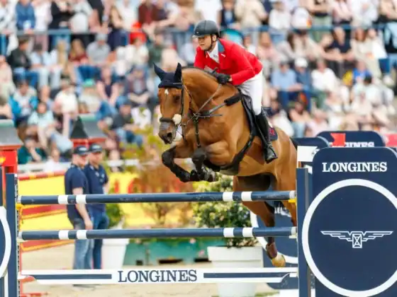 Das Riesen-Talent von Ales Opatrny (CZE), Vivo de Muze PS, wechselt in den Stall von Max Kühner (T). © Schockemöhle.de