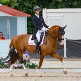 Fabian Hofer (V) & Zaharah bei der EM der Junioren in Olomouc 2026 © EQWO.net | Petra Kerschbaum