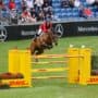 Bomben-WM-Auftakt für Felix Koller (OÖ) und Cossinelle! Die beiden zeigen im Zeitspringen eine schnelle Nullrunde. © EQWO.net | Petra Kerschbaum