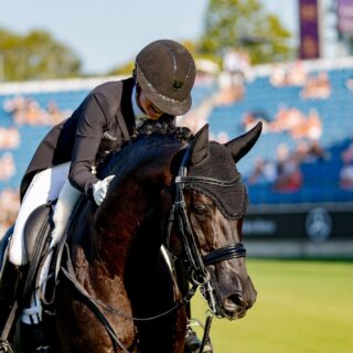 Oh Fipsi! Der 16-jährige KWPN-Hengst von Wynton x Ferro zeigte sich in der eindrucksvollen Athmosphäre von Aachen hoch fokussiert. © EQWO.net | Petra Kerschbaum