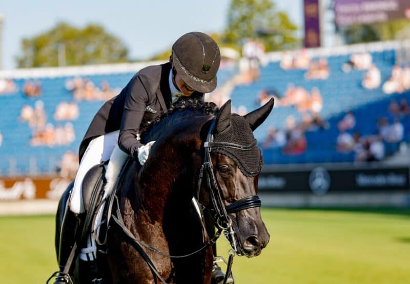 Oh Fipsi! Der 16-jährige KWPN-Hengst von Wynton x Ferro zeigte sich in der eindrucksvollen Athmosphäre von Aachen hoch fokussiert. © EQWO.net | Petra Kerschbaum