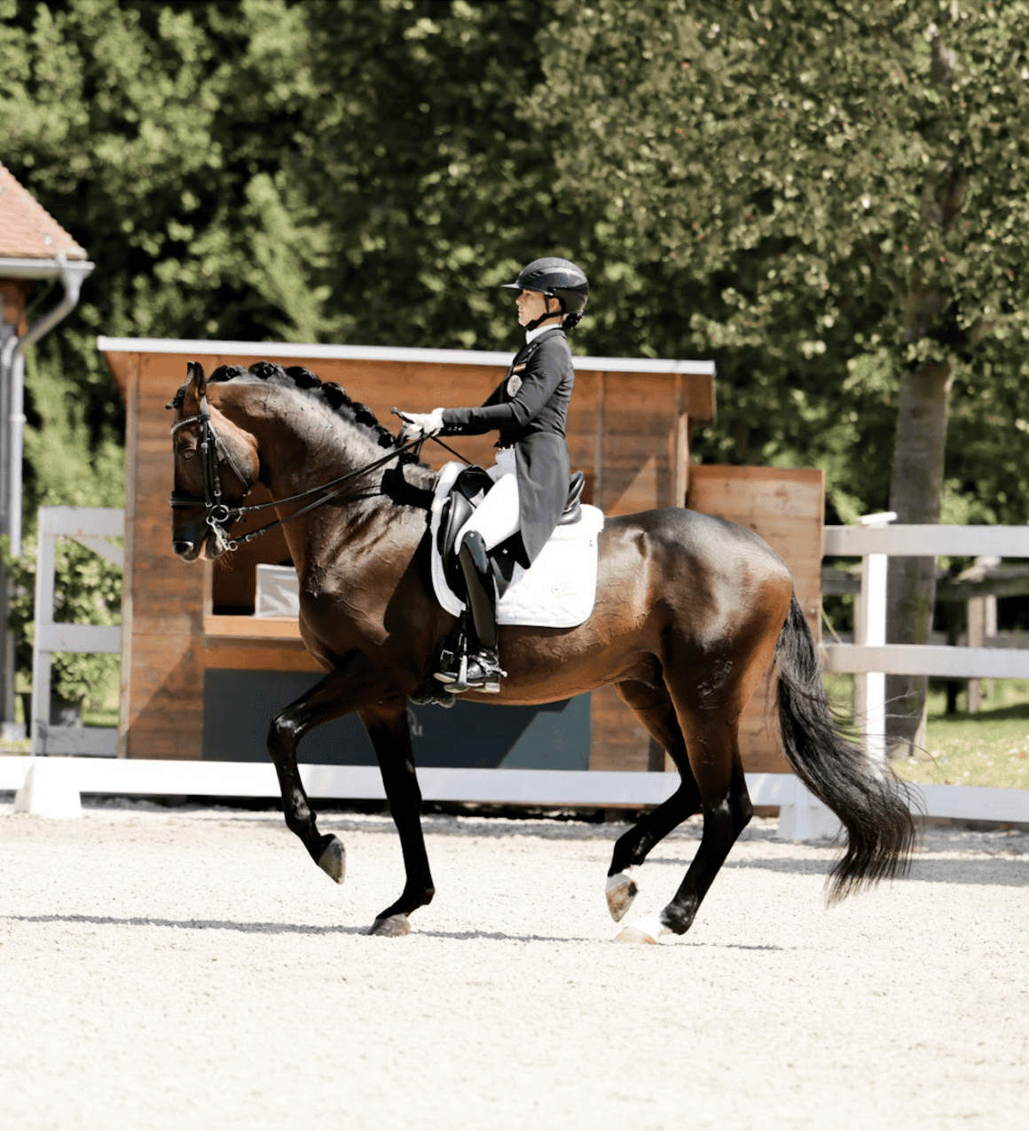 Gogogachetto Chippendale tanzte unter Staatsmeisterin Timna Valenta-Zach zum Sieg im Grand Prix Special. © Reitsportmomente