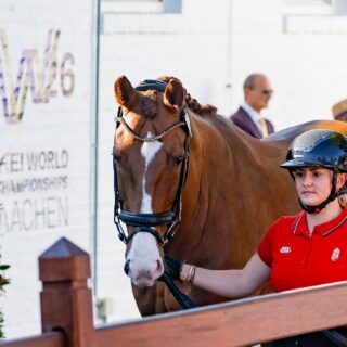 Diana Porsche (S) bekommt beim WM-Debüt Unterstützung von einem neuen Trainer! © EQWO.net | Petra Kerschbaum