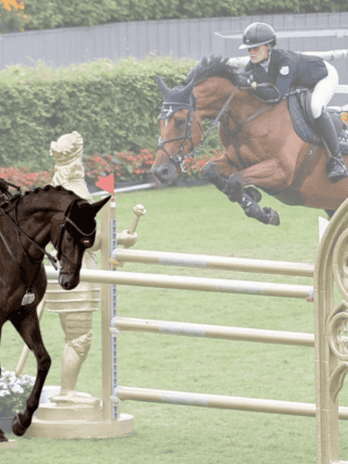 Wenn Vater & Tochter gemeinsam in Aachen reiten: Pepo & Lou Puch! © EQWO.net | Petra Kerschbaum
