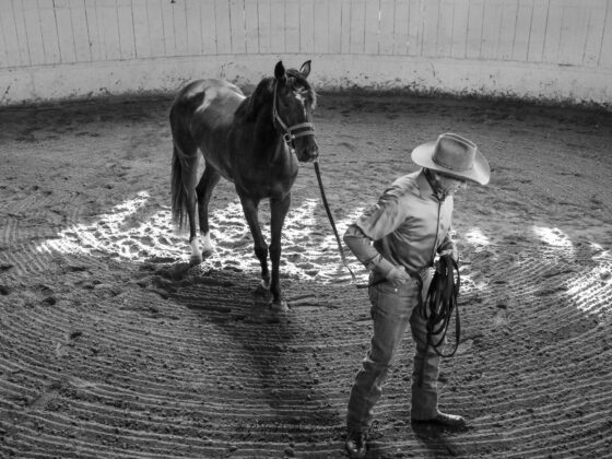 Der Erfinder des Join-Ups ist tot: Monty Roberts verstarb im Alter von 91 Jahren. © Facebook/ Monty Roberts