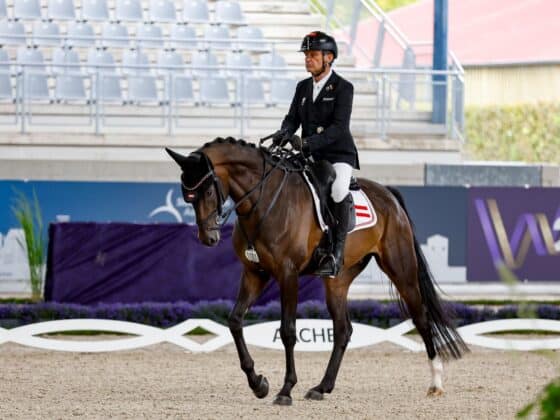 Pepo Puch gab in Aachen sein Championatsdebüt in Grade I. © EQWO.net | Petra Kerschbaum