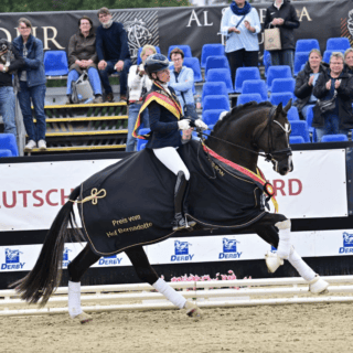 Bonds in Gold ist deutscher Bundeschampion der vierjährigen Hengste! © Pramwaldhof