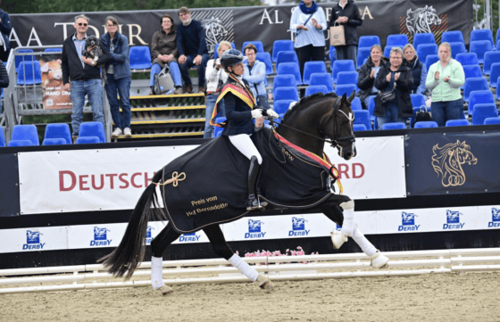 Bonds in Gold ist deutscher Bundeschampion der vierjährigen Hengste! © Pramwaldhof