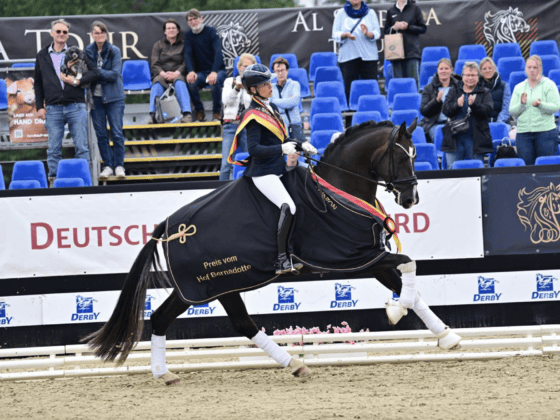 Bonds in Gold ist deutscher Bundeschampion der vierjährigen Hengste! © Pramwaldhof