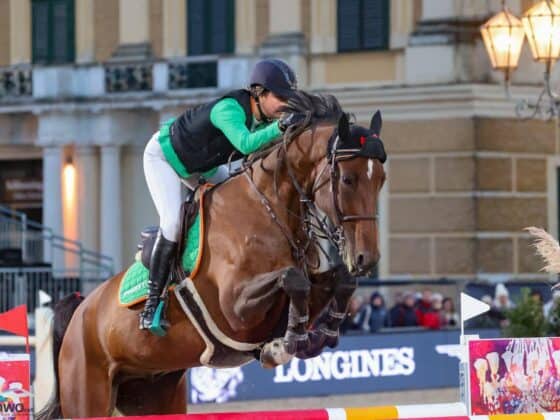 Mega Debüt von Lena Binder (W) und Linus! © EQWO.net | Petra Kerschbaum