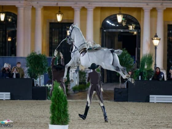 Die Kapriole an der Hand: Eine Lektion, die nur die weißen Lipizzaner der Spanischen Hofreitschule beherrschen. © EQWO.net | Petra Kerschbaum