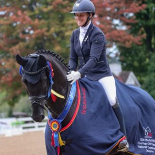 Petra Kerschbaums gezogener Tuscany v. Taurus x Cavallieri xx ist US-Bundeschampion der fünfjährigen Pferde! © EQWO.net | Petra Kerschbaum