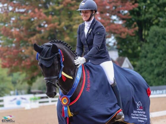 Petra Kerschbaums gezogener Tuscany v. Taurus x Cavallieri xx ist US-Bundeschampion der fünfjährigen Pferde! © EQWO.net | Petra Kerschbaum