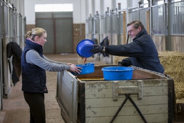 05 PferdefuetterungUndLeistung01