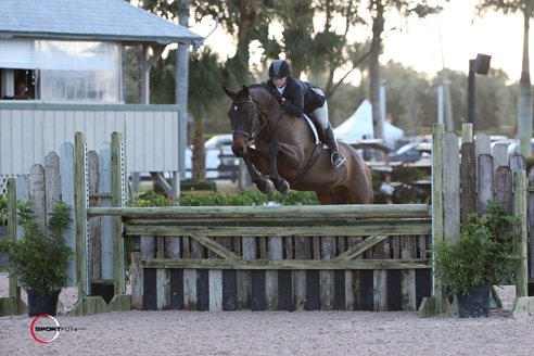 2014 01 12 AlexanderAshton